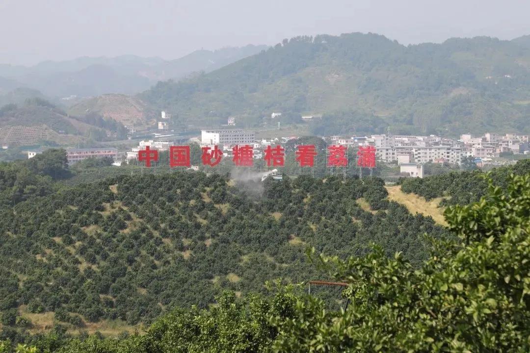 微信图片_20220117180711.jpg